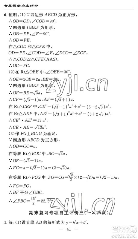 长江少年儿童出版社2022智慧课堂自主评价八年级数学下册通用版宜昌专版答案