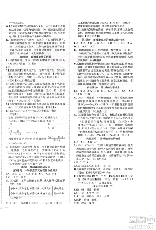 团结出版社2022体验型学案九年级下册化学通用版参考答案