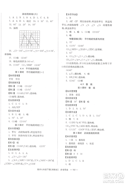 湖南教育出版社2022全效学习同步学练测七年级下册数学湘教版参考答案