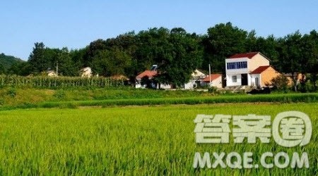 乡村的夏天作文400字 写乡村的夏天的作文400字 乡村的夏天作文400字 写乡村的夏天的作文400字