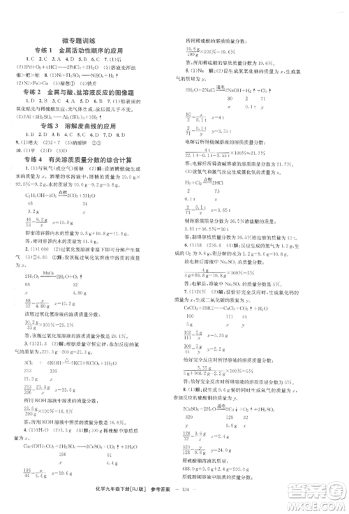 湖南教育出版社2022全效学习同步学练测九年级下册化学人教版参考答案