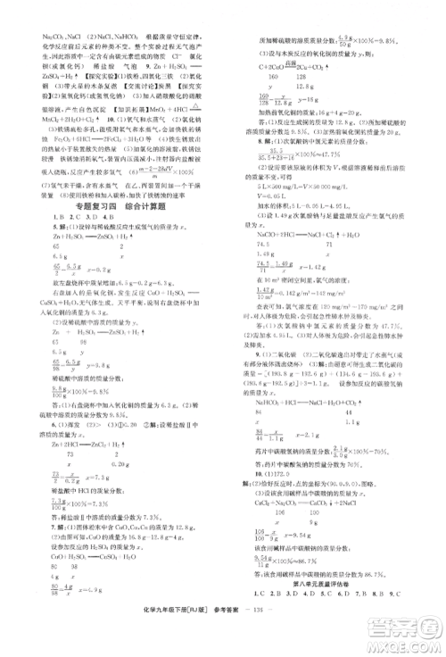 湖南教育出版社2022全效学习同步学练测九年级下册化学人教版参考答案