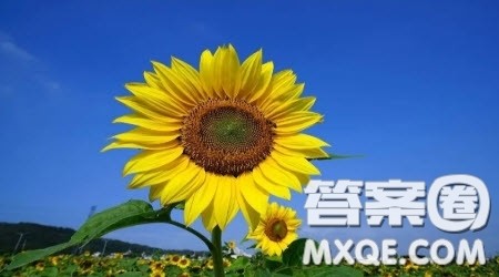 独自____为题作文600字 关于独自____为题的作文600字