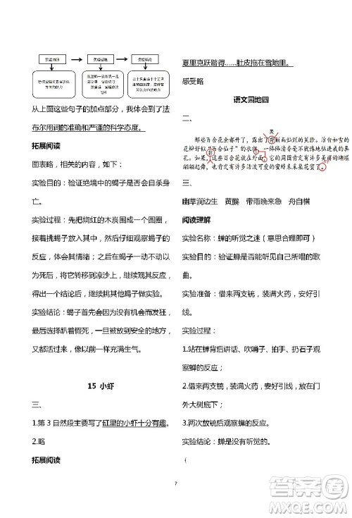 2019年知识与能力训练三年级语文下册人教版答案