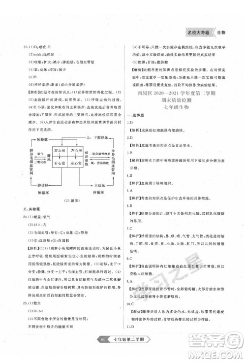 延边大学出版社2022名校大考卷生物七年级下册人教版大连专版答案