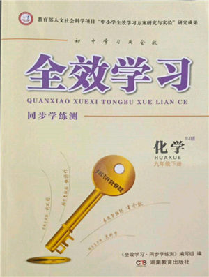 湖南教育出版社2022全效学习同步学练测九年级下册化学人教版参考答案