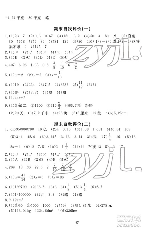宁波出版社2022学习方法指导丛书六年级数学下册人教版答案