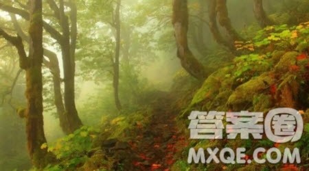 雾作文600字 以雾为题作文600字