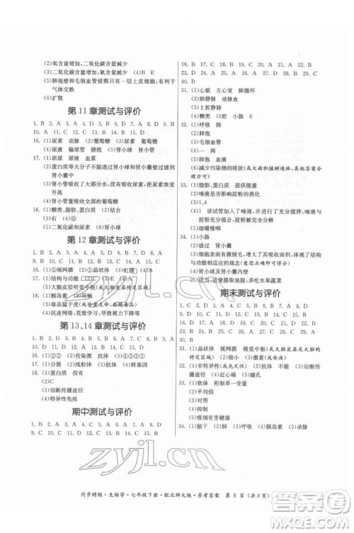 广东人民出版社2022同步精练生物学七年级下册北师大版答案