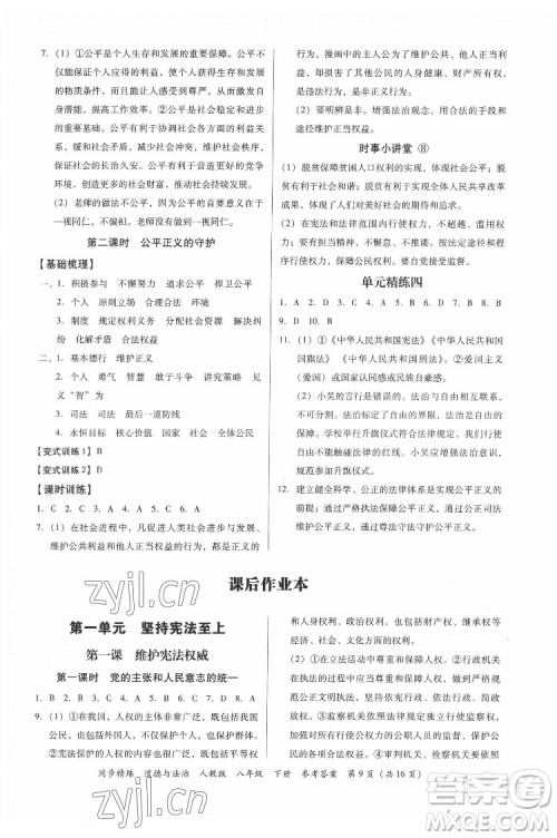 广东人民出版社2022同步精练道德与法治八年级下册人教版答案