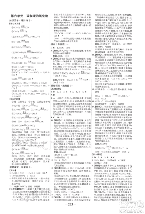 延边大学出版社2022世纪金榜初中全程复习方略化学人教版柳州专版参考答案