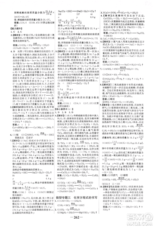 延边大学出版社2022世纪金榜初中全程复习方略化学人教版柳州专版参考答案