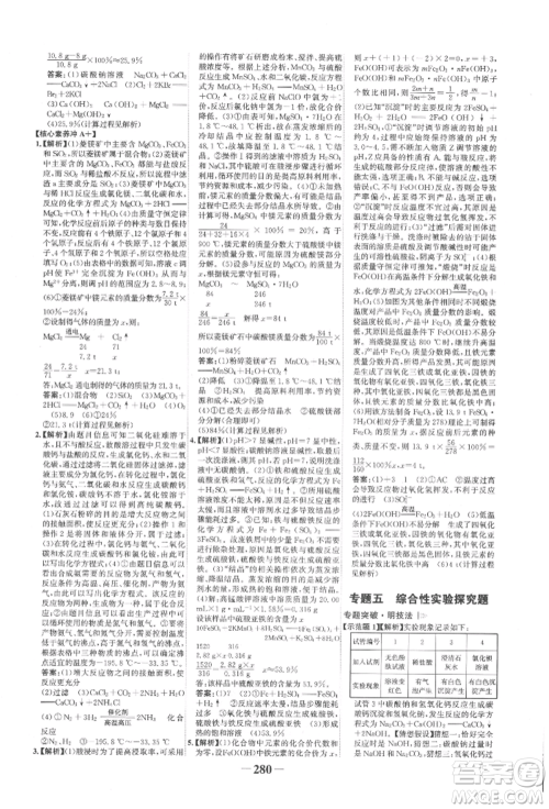 延边大学出版社2022世纪金榜初中全程复习方略化学人教版柳州专版参考答案