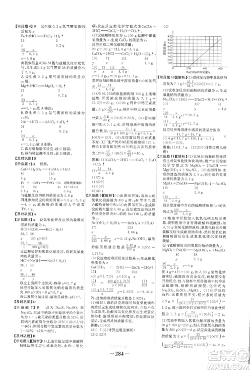延边大学出版社2022世纪金榜初中全程复习方略化学人教版柳州专版参考答案