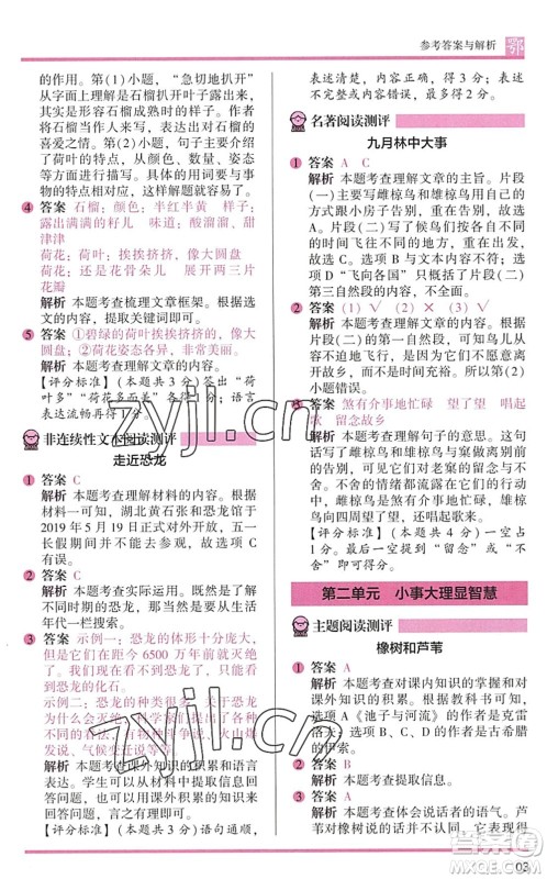 江苏凤凰文艺出版社2022木头马阅读力测评三年级语文下册B版武汉专版答案