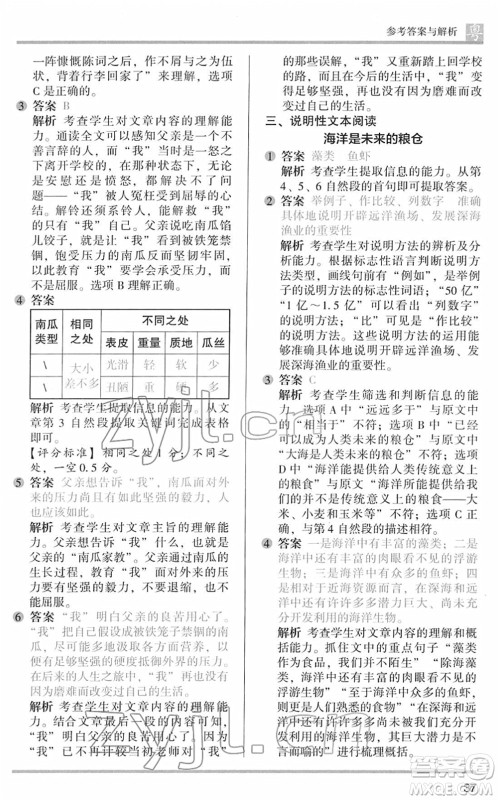 江苏凤凰文艺出版社2022木头马阅读力测评五年级语文下册B版广东专版答案 江苏凤凰文艺出版社2022木头马阅读力测评五年级语文下册B版广东专版答案
