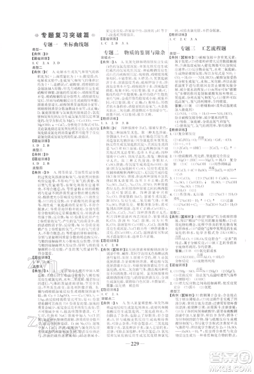 未来出版社2022世纪金榜初中全程复习方略化学人教版参考答案