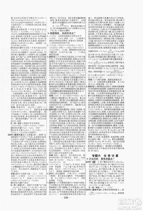 未来出版社2022世纪金榜初中全程复习方略化学人教版青海专版参考答案