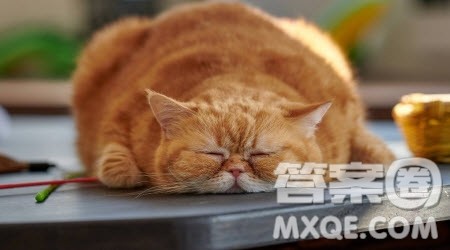 那群可爱的人作文600字 以那群可爱的人为题作文600字