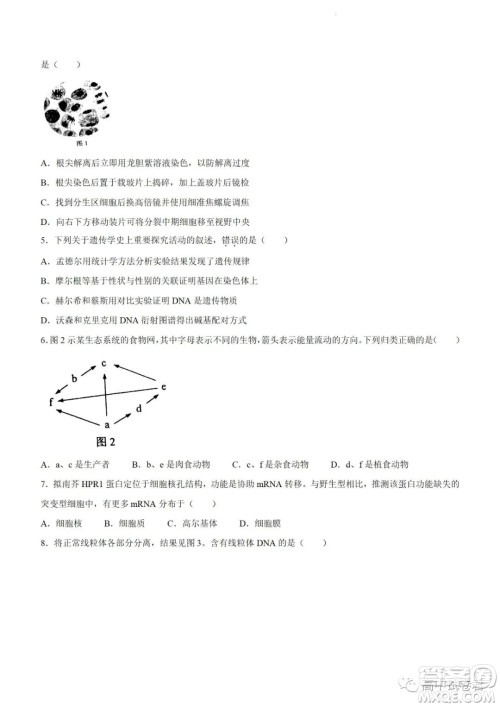 2022高考真题新高考广东卷生物试题及答案解析