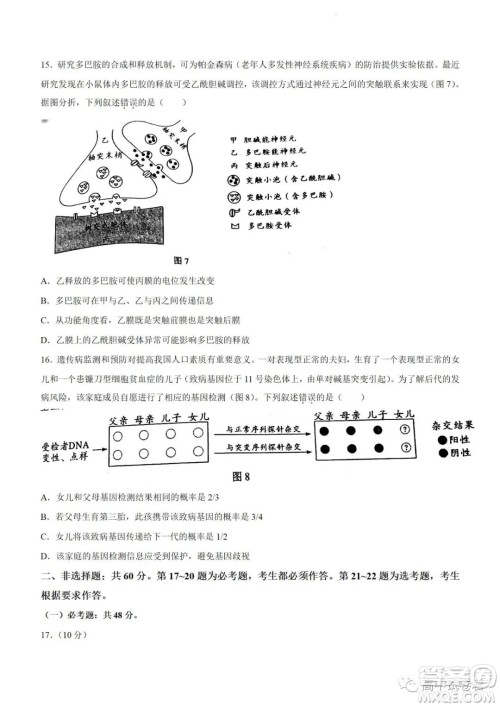 2022高考真题新高考广东卷生物试题及答案解析