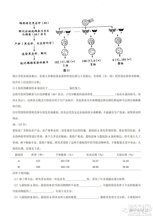 2022高考真题新高考广东卷生物试题及答案解析