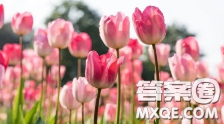 这三年离我最近的那个人为题作文600字 以这三年离我最近的那个人为题的作文600字