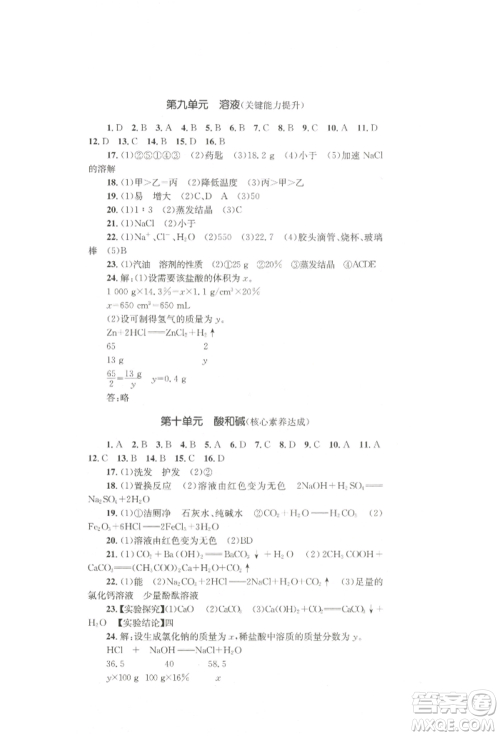 湖南教育出版社2022学科素养与能力提升九年级下册化学人教版参考答案 湖南教育出版社2022学科素养与能力提升九年级下册化学人教版参考答案