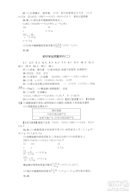 湖南教育出版社2022学科素养与能力提升九年级下册化学人教版参考答案 湖南教育出版社2022学科素养与能力提升九年级下册化学人教版参考答案