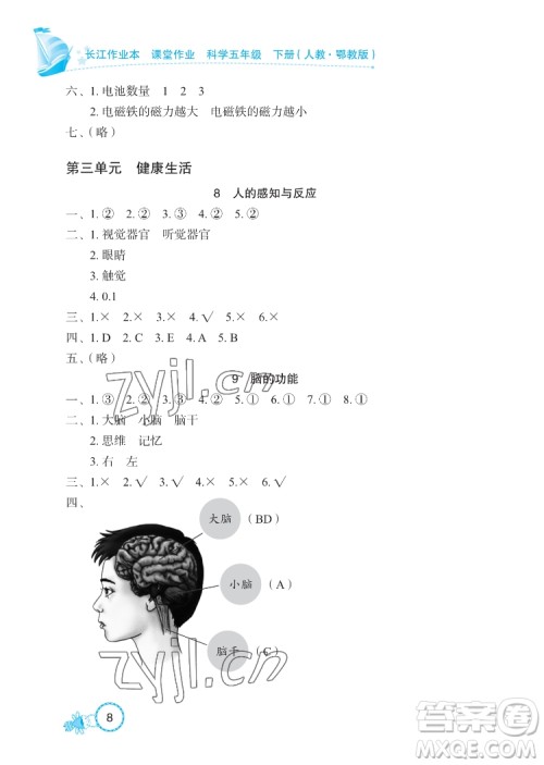 湖北教育出版社2022长江作业本课堂作业科学五年级下册鄂教版答案