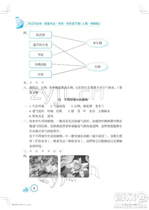 湖北教育出版社2022长江作业本课堂作业科学四年级下册鄂教版答案