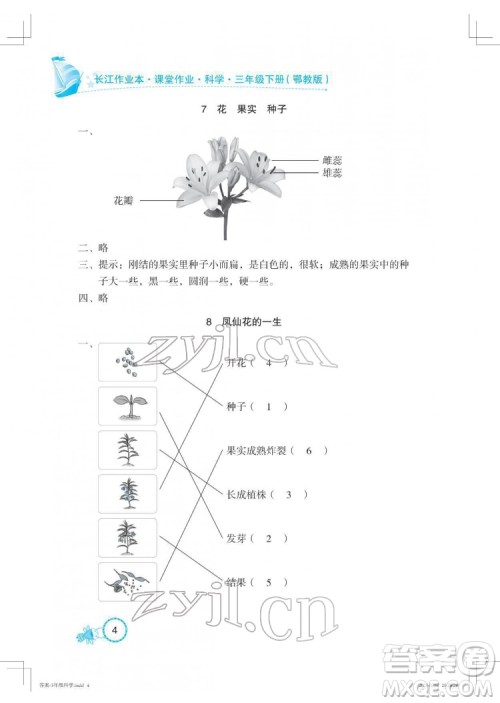 湖北教育出版社2022长江作业本课堂作业科学三年级下册鄂教版答案