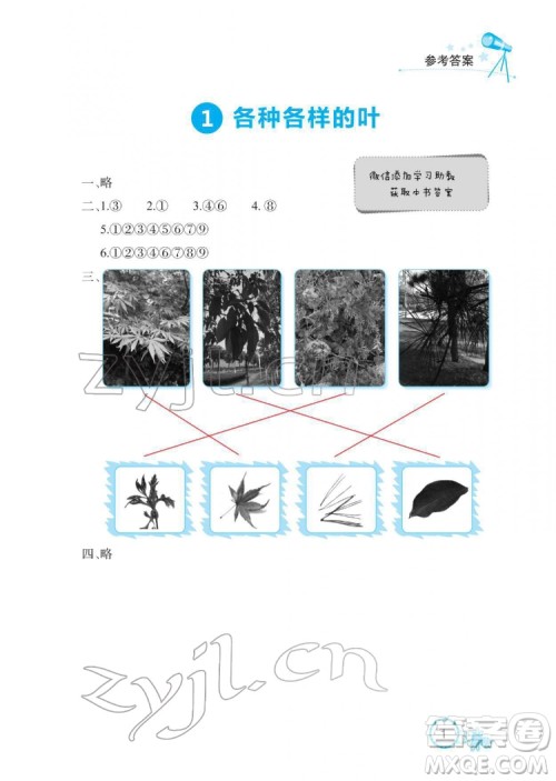 湖北教育出版社2022长江作业本课堂作业科学一年级下册鄂教版答案