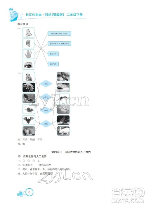 湖北教育出版社2022长江作业本课堂作业科学二年级下册鄂教版答案 湖北教育出版社2022长江作业本课堂作业科学二年级下册鄂教版答案