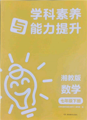 湖南教育出版社2022学科素养与能力提升七年级下册数学湘教版参考答案