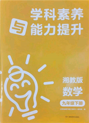 湖南教育出版社2022学科素养与能力提升九年级下册数学人教版参考答案