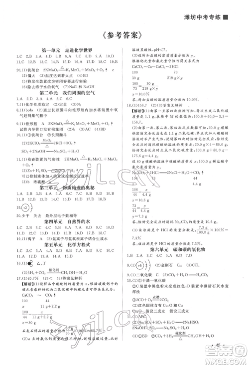 吉林人民出版社2022智慧大课堂学年总复习全程精练备战中考化学通用版潍坊专版参考答案