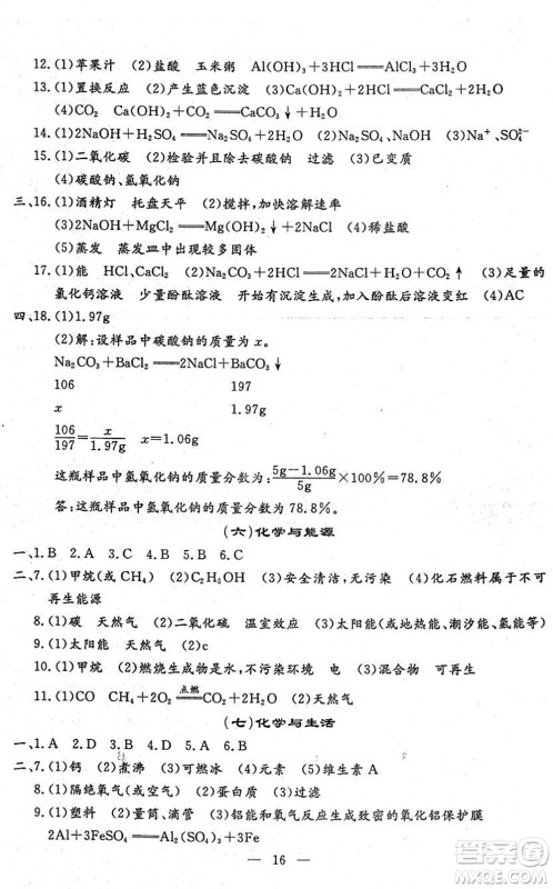 吉林教育出版社2022文曲星中考总复习九年级化学下册RJ人教版答案