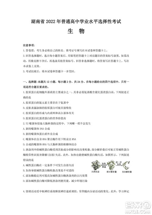 2022高考真题新高考湖南卷生物试题及答案解析 2022高考真题新高考湖南卷生物试题及答案解析