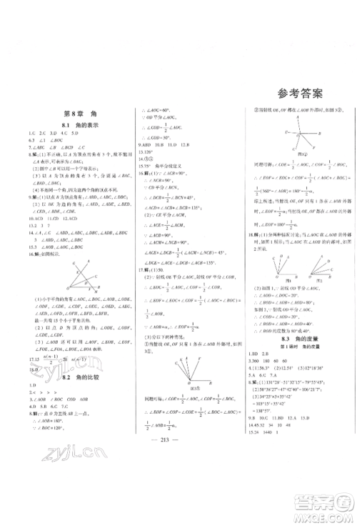 吉林人民出版社2022初中新课标名师学案智慧大课堂七年级下册数学青岛版参考答案