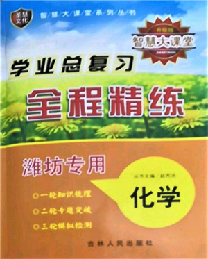 吉林人民出版社2022智慧大课堂学年总复习全程精练备战中考化学通用版潍坊专版参考答案