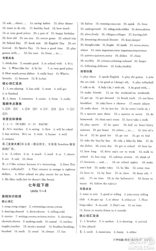 新疆青少年出版社2022升学锦囊九年级英语青岛专版答案