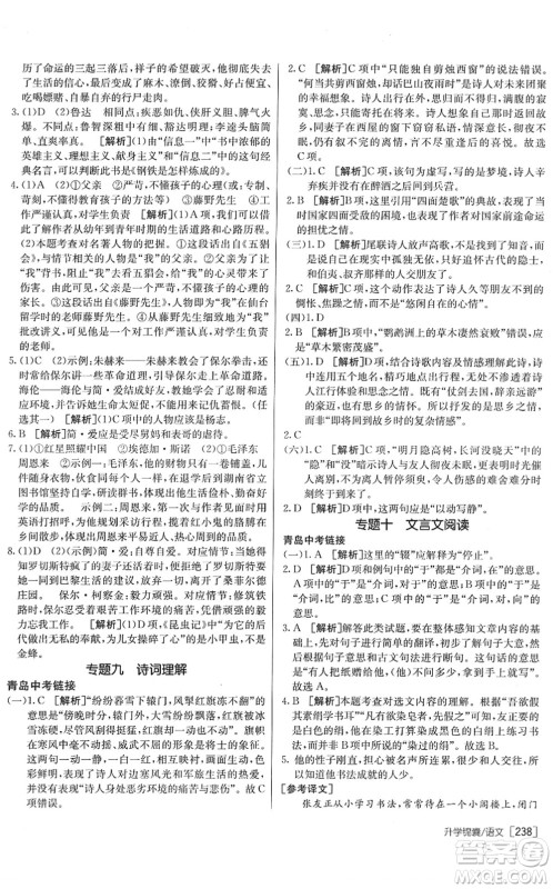 新疆青少年出版社2022升学锦囊九年级语文青岛专版答案 新疆青少年出版社2022升学锦囊九年级语文青岛专版答案