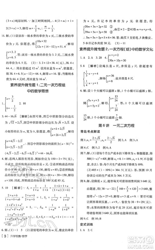 新疆青少年出版社2022升学锦囊九年级数学青岛专版答案