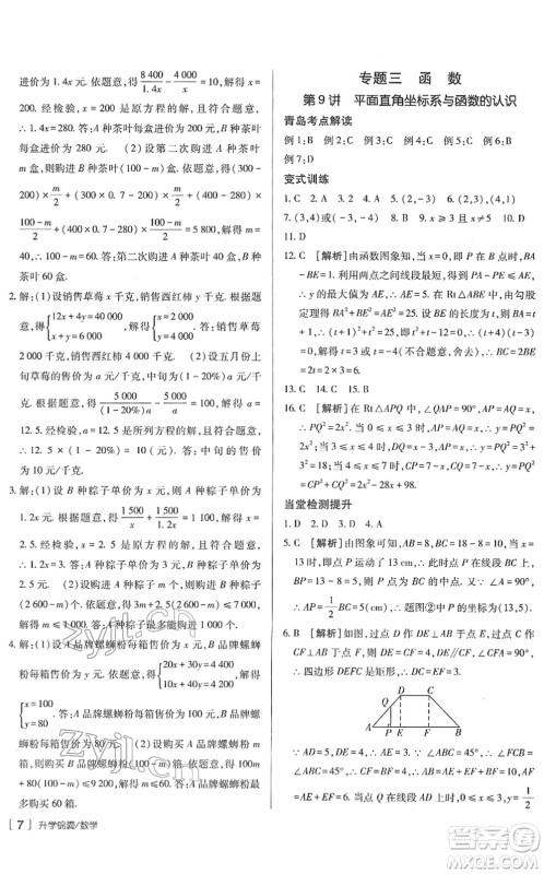新疆青少年出版社2022升学锦囊九年级数学青岛专版答案