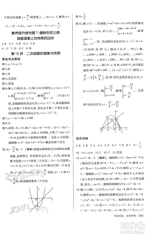新疆青少年出版社2022升学锦囊九年级数学青岛专版答案