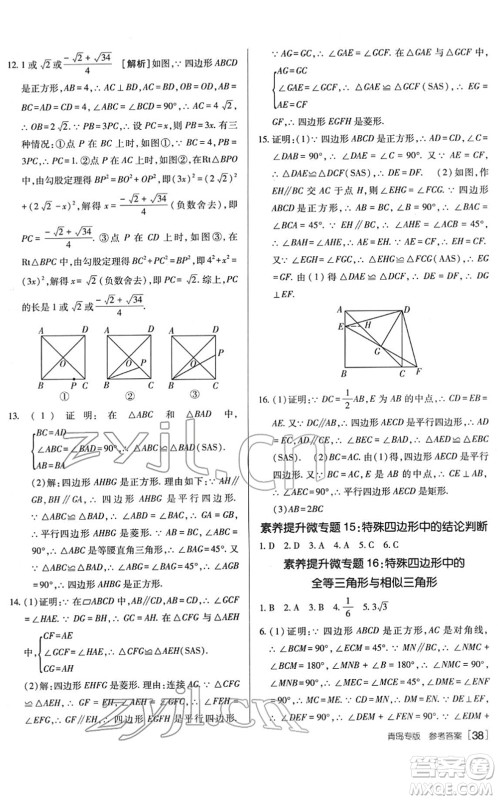 新疆青少年出版社2022升学锦囊九年级数学青岛专版答案