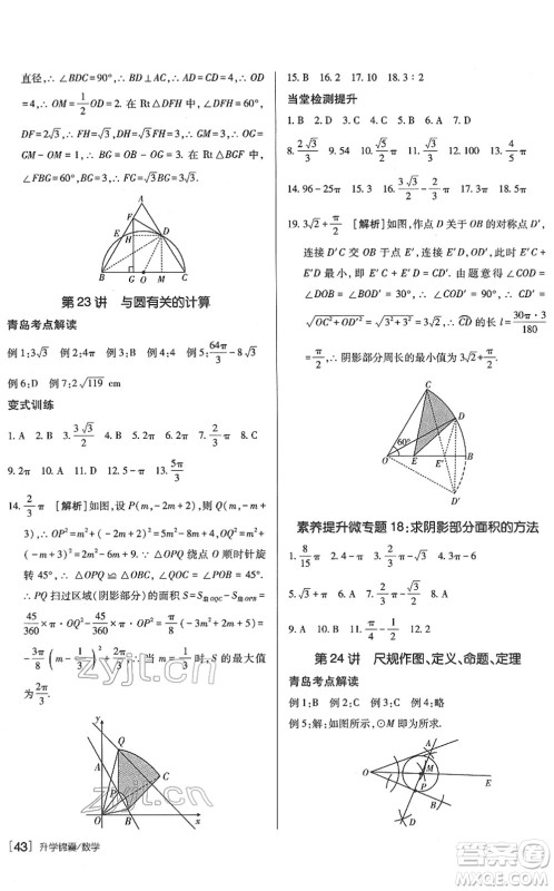 新疆青少年出版社2022升学锦囊九年级数学青岛专版答案