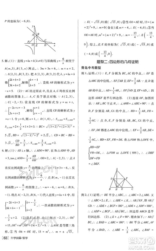 新疆青少年出版社2022升学锦囊九年级数学青岛专版答案