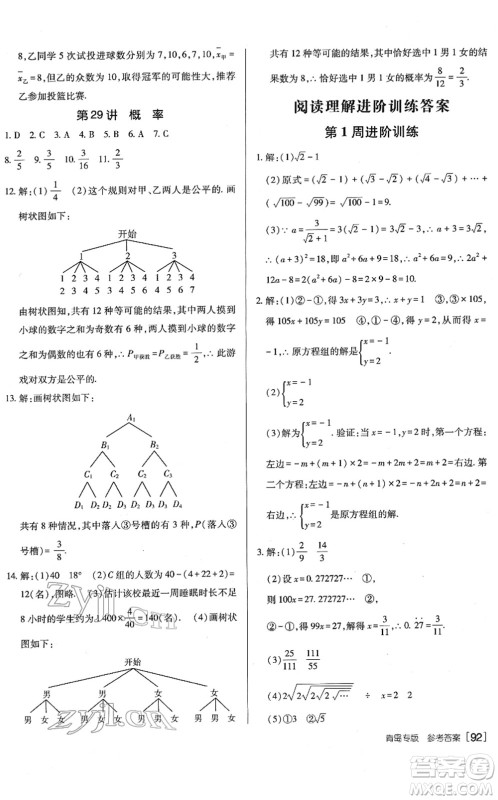 新疆青少年出版社2022升学锦囊九年级数学青岛专版答案